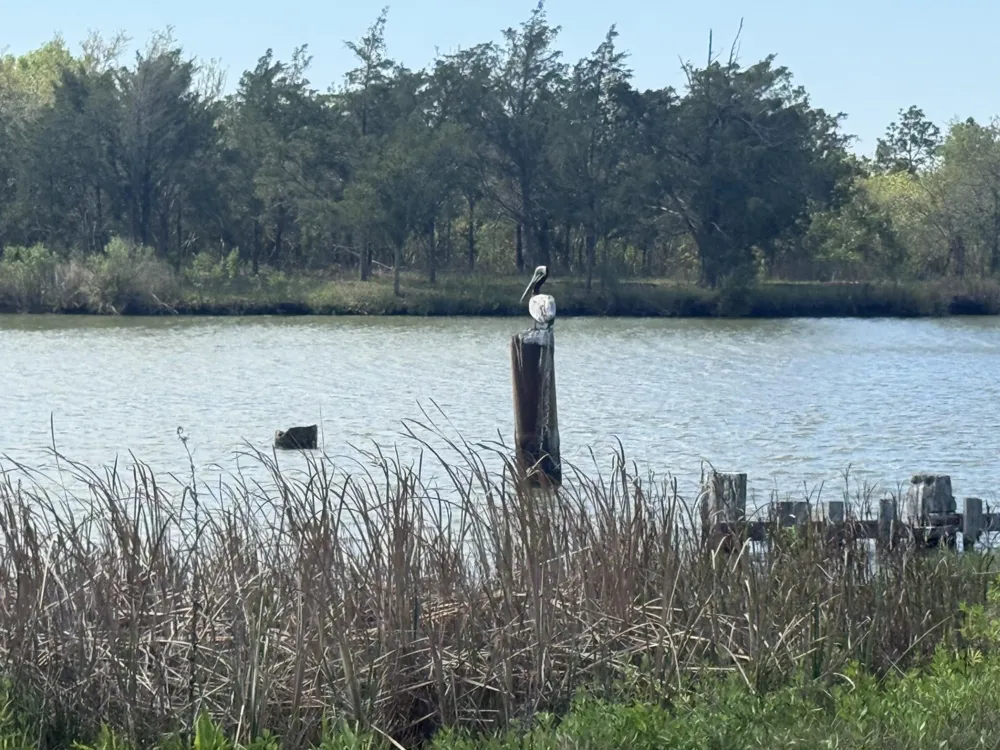 1 W Bayshore Road Oak Island, TX 77514