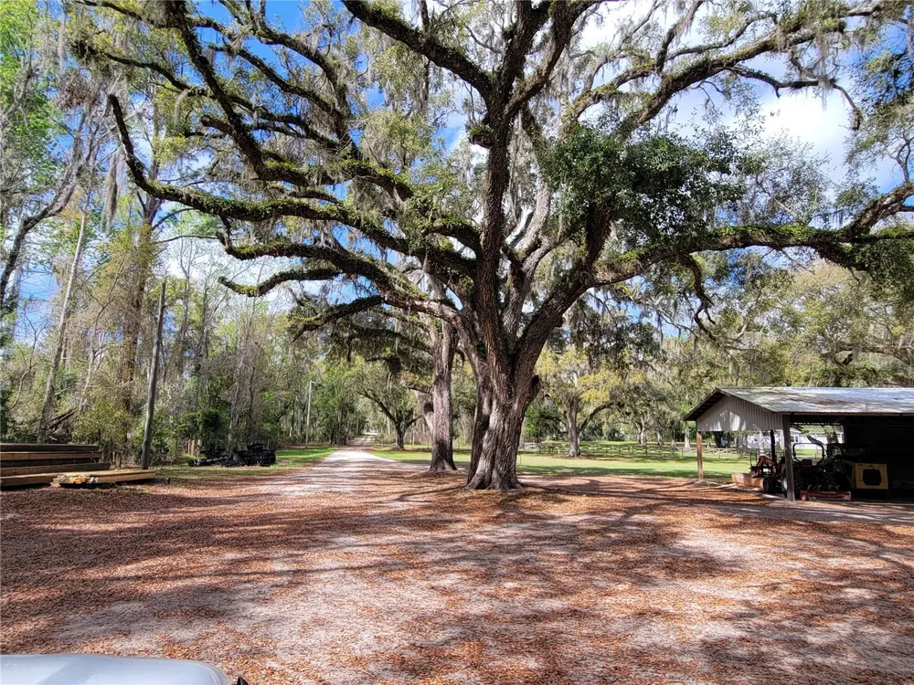 22397 MONDON HILL ROAD Brooksville, FL 34601