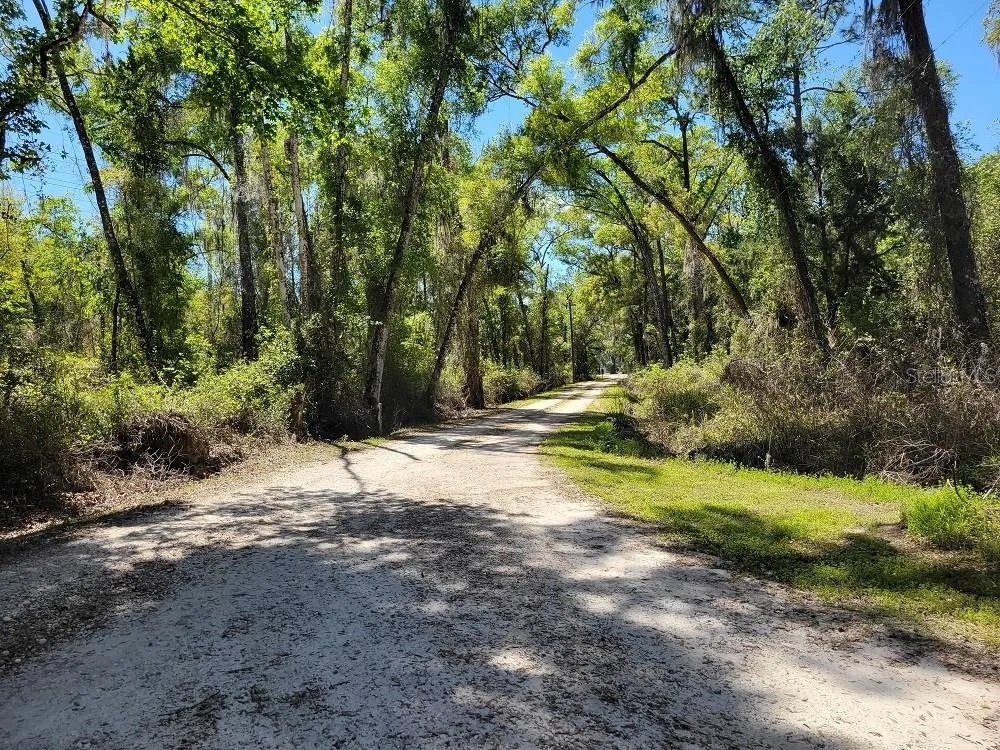 22397 MONDON HILL ROAD Brooksville, FL 34601