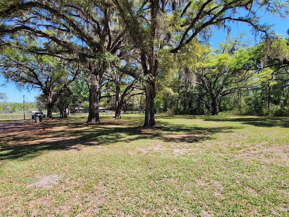 22397 MONDON HILL ROAD Brooksville, FL 34601