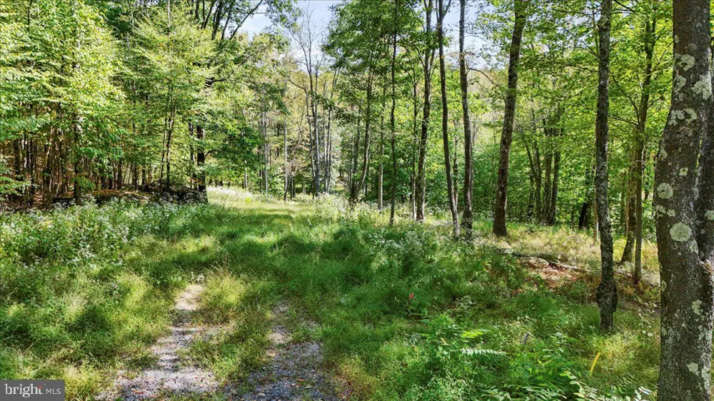 LODESTONE WAY Mc Henry, MD 21541