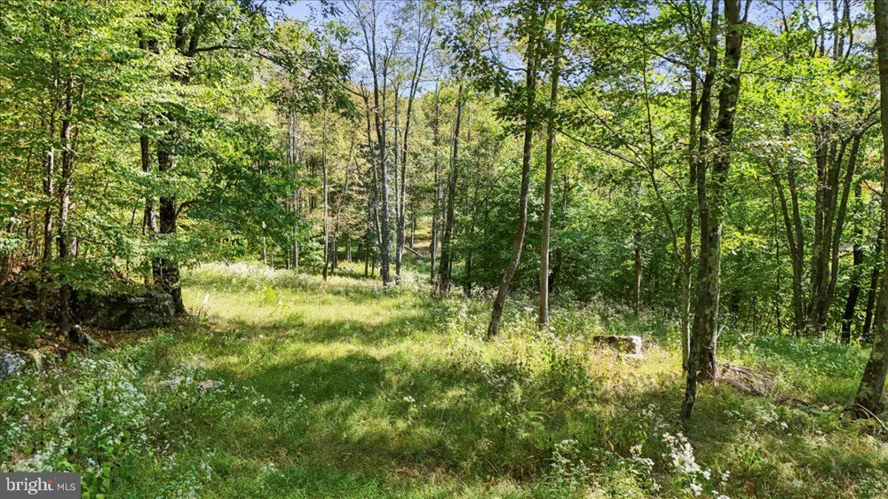 LODESTONE WAY Mc Henry, MD 21541