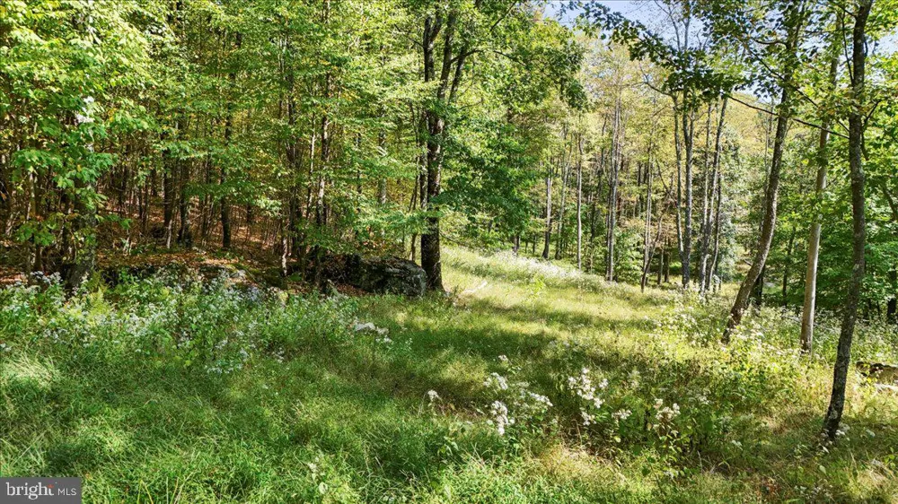 LODESTONE WAY Mc Henry, MD 21541