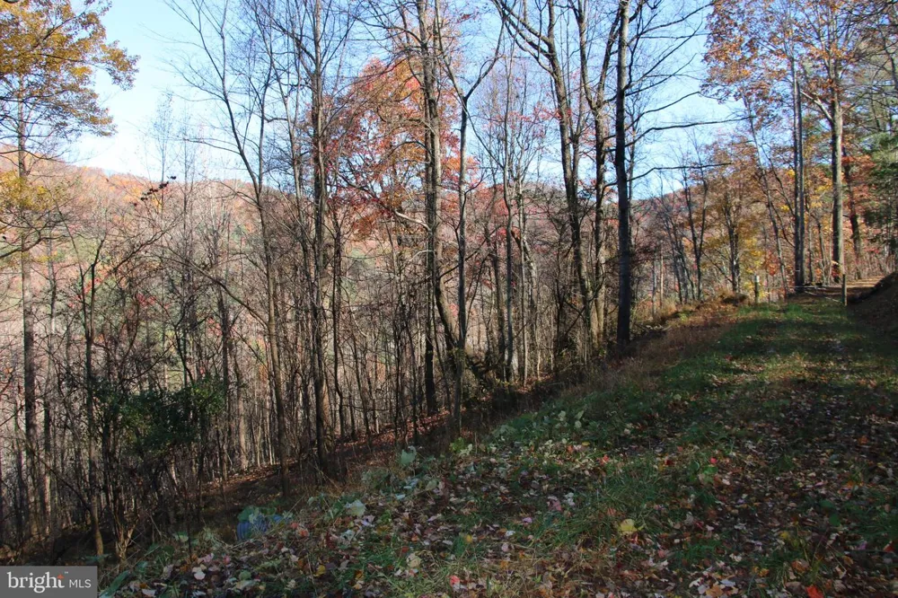 0 OVERLOOK MOUNTAIN ROAD Elkton, VA 22827
