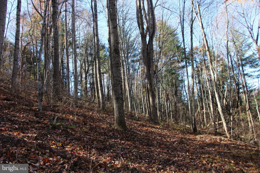 0 OVERLOOK MOUNTAIN ROAD Elkton, VA 22827