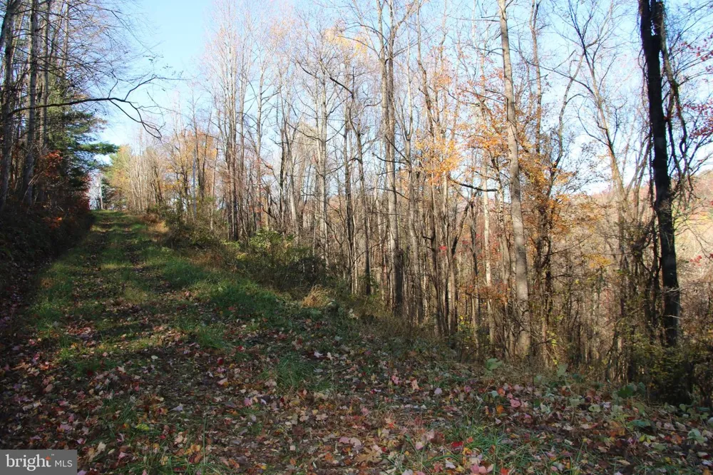 0 OVERLOOK MOUNTAIN ROAD Elkton, VA 22827