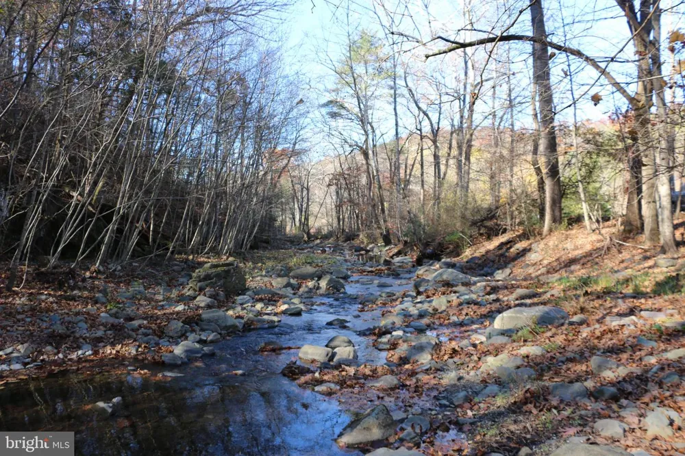 0 OVERLOOK MOUNTAIN ROAD Elkton, VA 22827