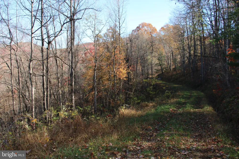 0 OVERLOOK MOUNTAIN ROAD Elkton, VA 22827