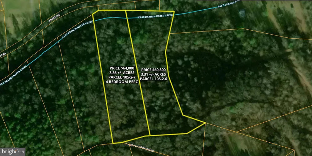 0 OVERLOOK MOUNTAIN ROAD Elkton, VA 22827