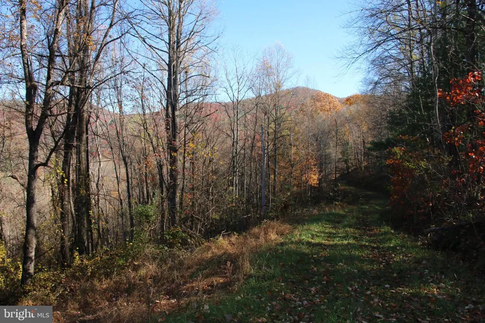 0 OVERLOOK MOUNTAIN ROAD Elkton, VA 22827
