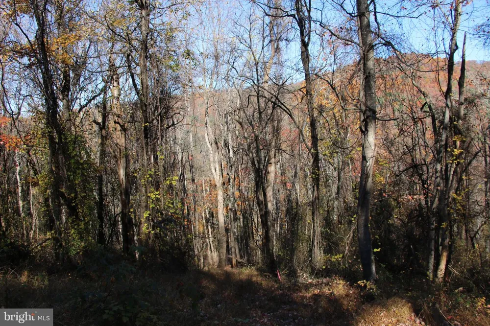 0 OVERLOOK MOUNTAIN ROAD Elkton, VA 22827