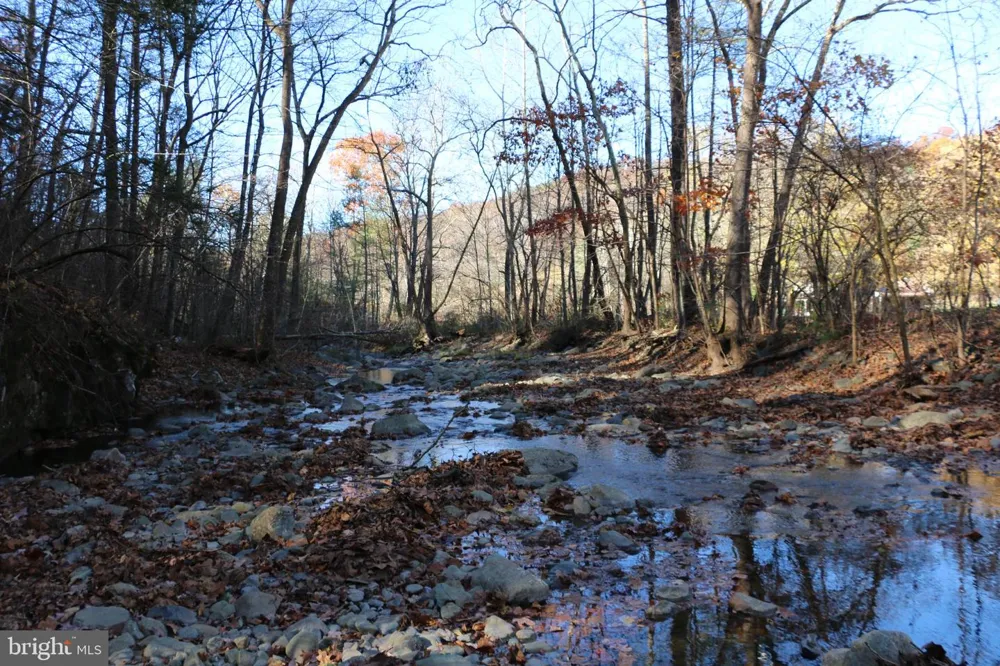 0 OVERLOOK MOUNTAIN ROAD Elkton, VA 22827