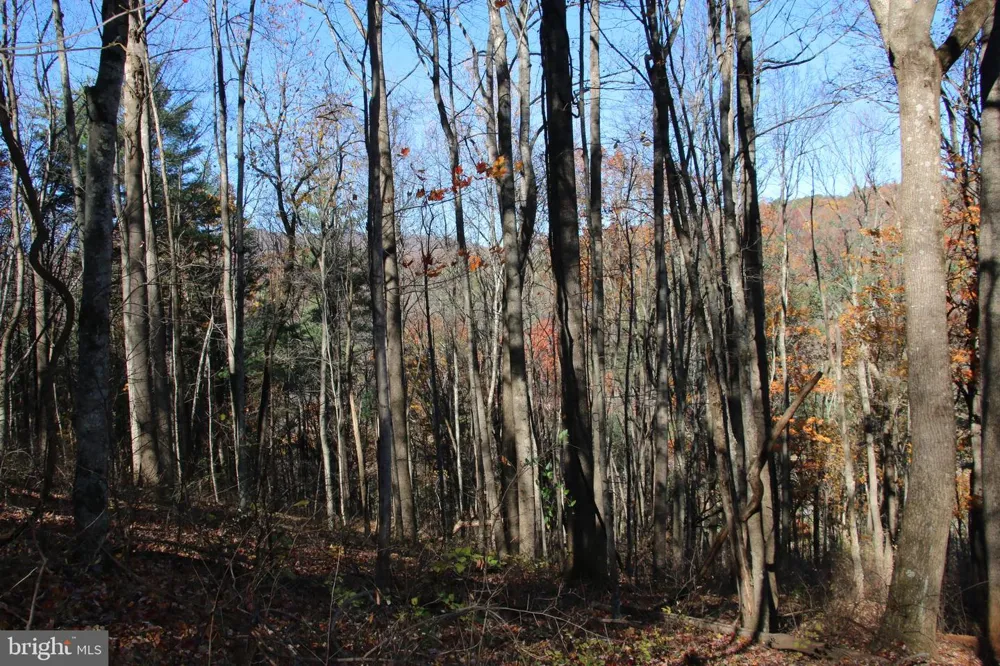 0 OVERLOOK MOUNTAIN ROAD Elkton, VA 22827