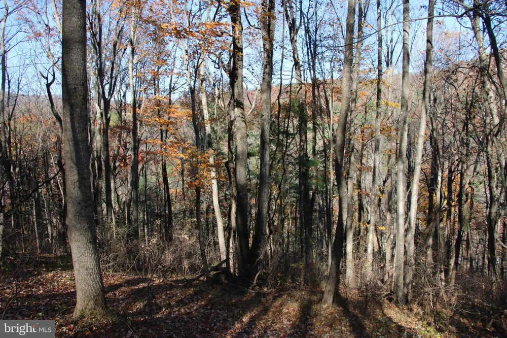 0 OVERLOOK MOUNTAIN ROAD Elkton, VA 22827