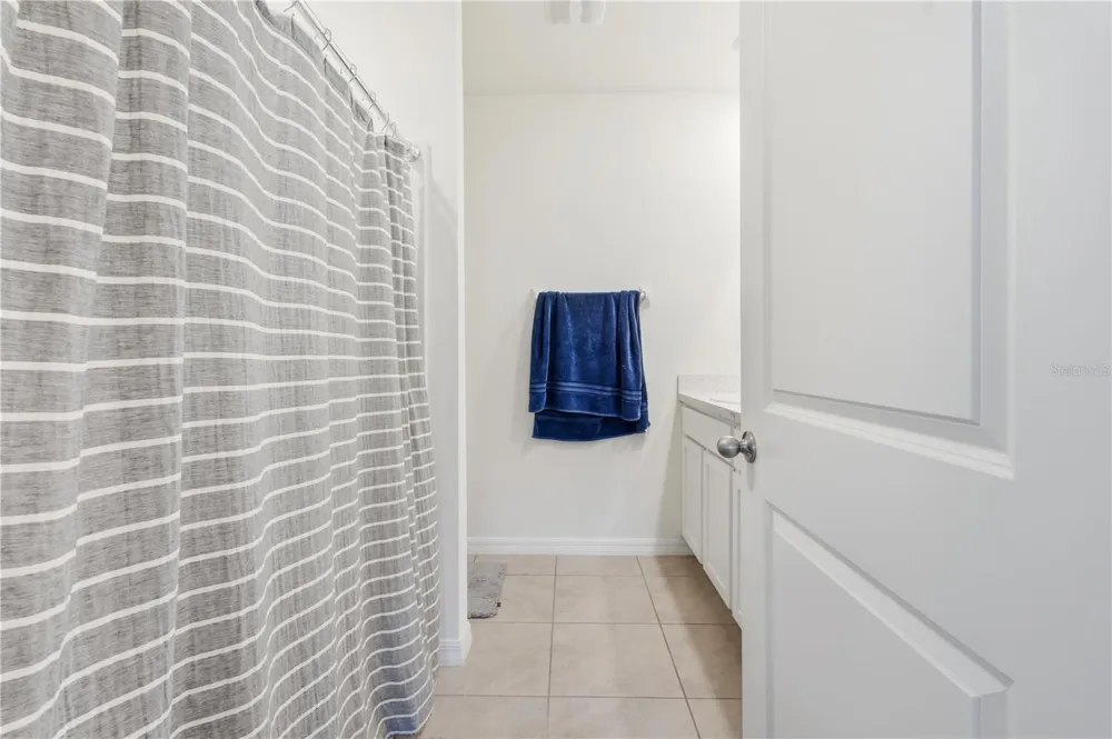 33922 JASPER STONE DRIVE Wesley Chapel, FL 33543