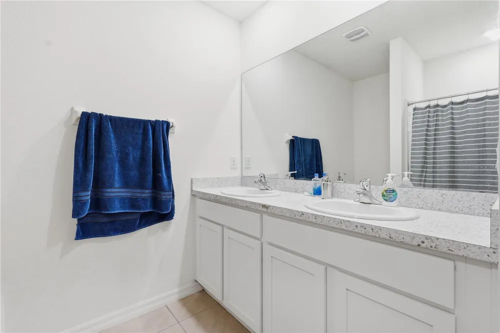 33922 JASPER STONE DRIVE Wesley Chapel, FL 33543