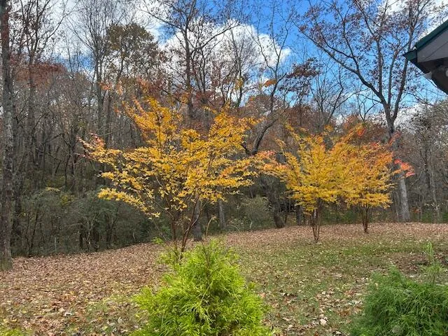 343 Highlands Forest Road Menlo, GA 30731