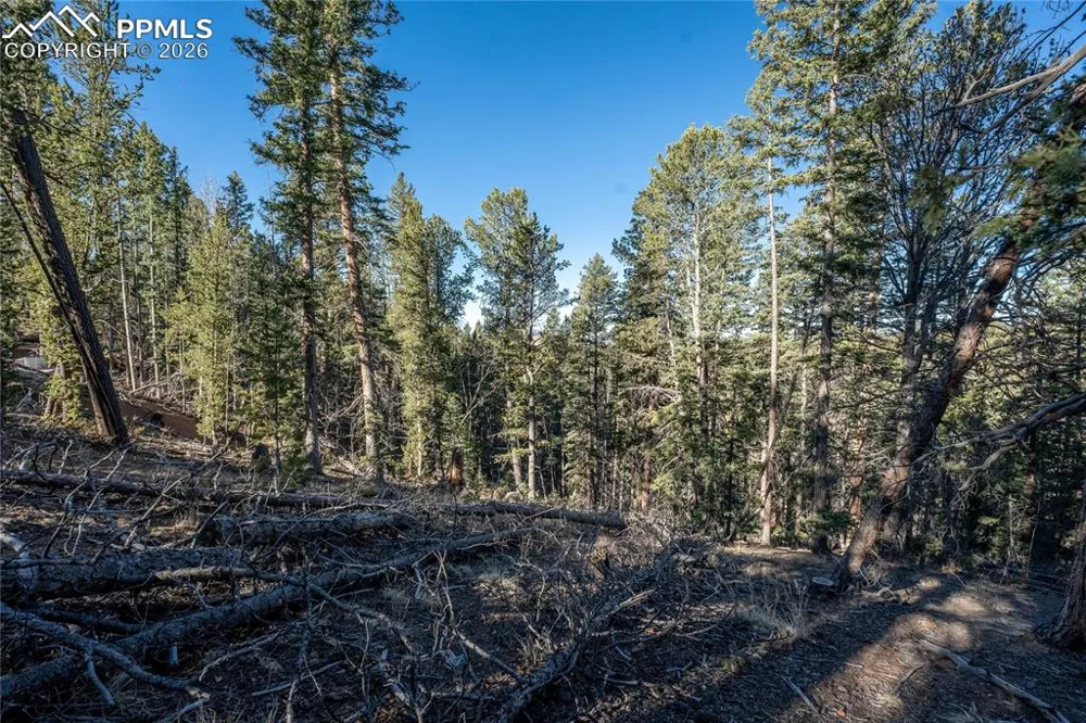 565 Fairview Drive Cripple Creek, CO 80813