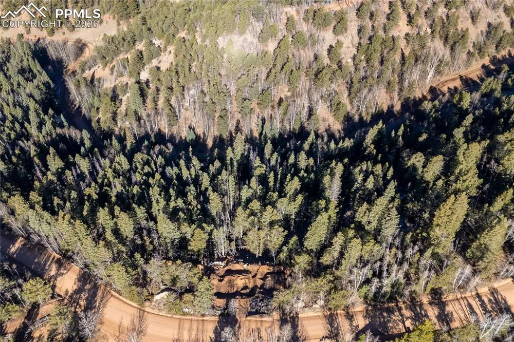 565 Fairview Drive Cripple Creek, CO 80813