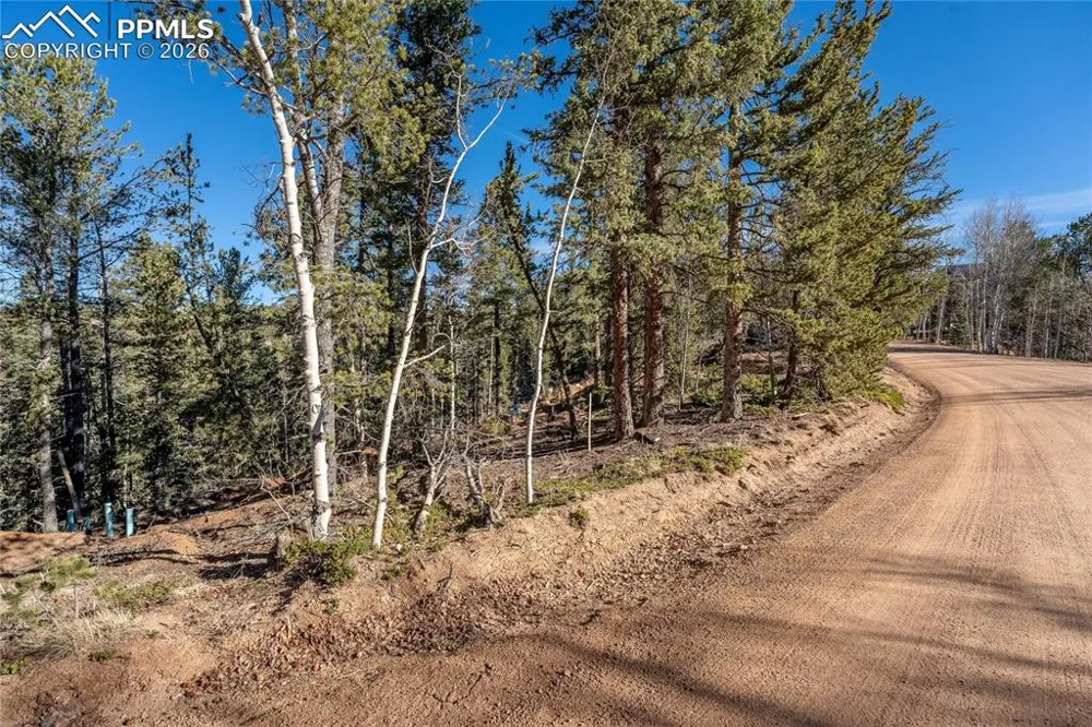 565 Fairview Drive Cripple Creek, CO 80813
