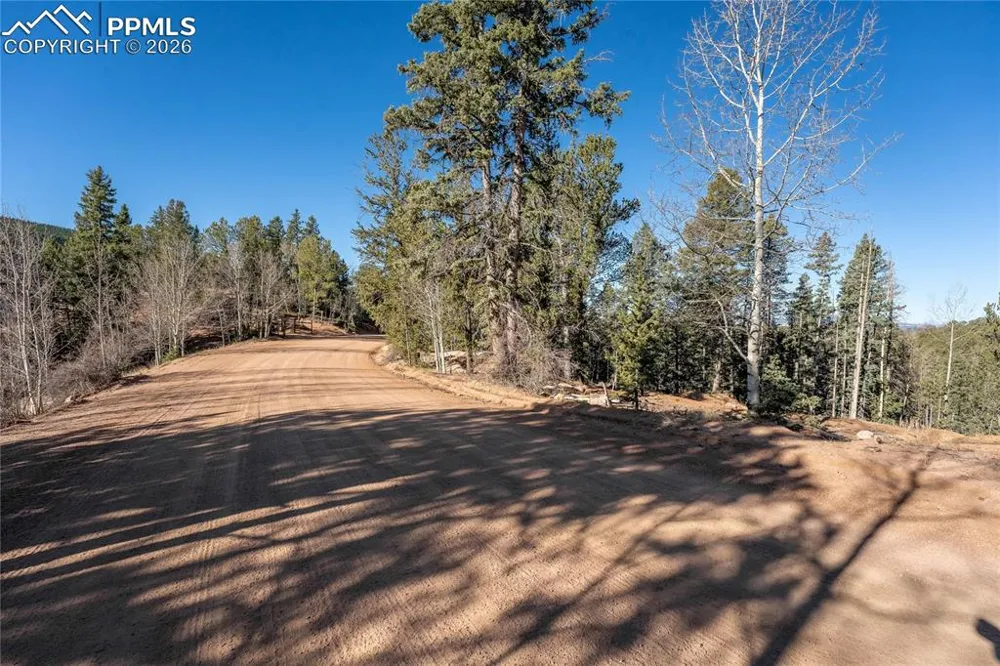 565 Fairview Drive Cripple Creek, CO 80813