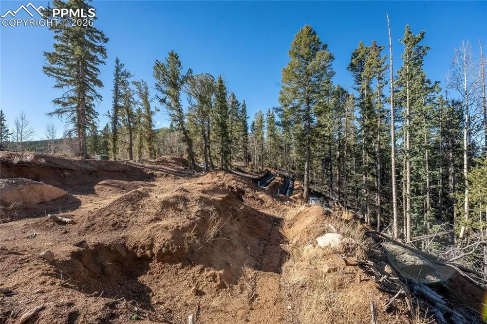 565 Fairview Drive Cripple Creek, CO 80813