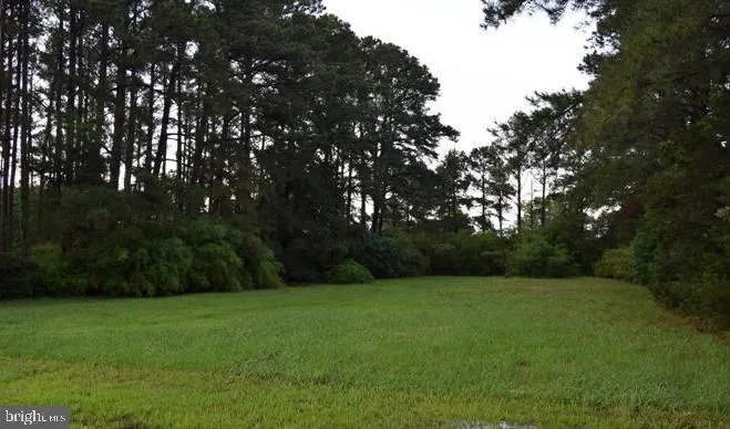 HEARTS DRIVE Crisfield, MD 21817