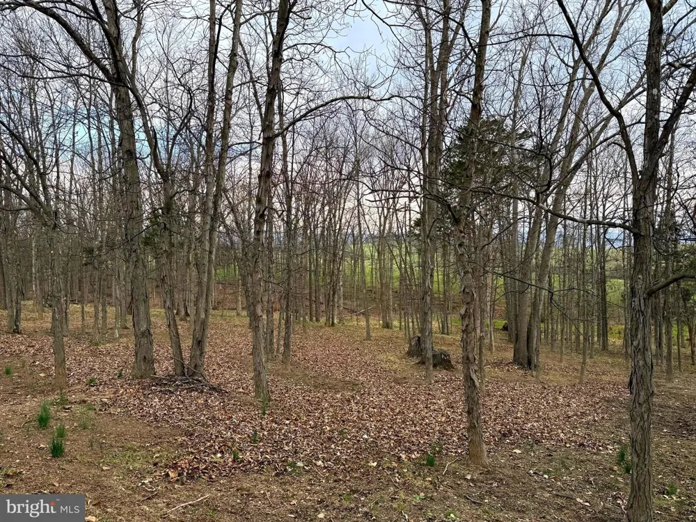 401 NIGHTHAWK DRIVE Petersburg, WV 26847