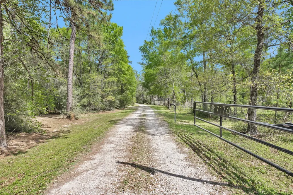 17174 Tierra Buena Drive Plantersville, TX 77363
