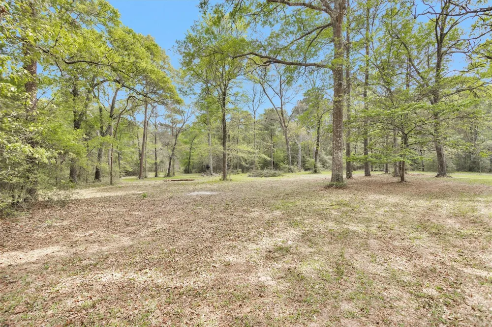 17174 Tierra Buena Drive Plantersville, TX 77363