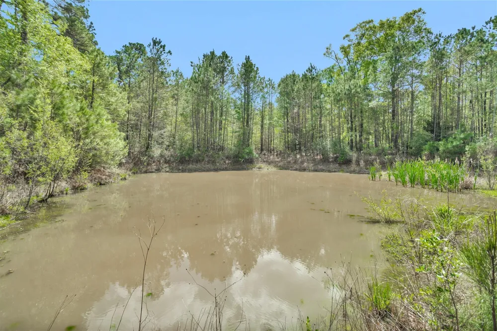 17174 Tierra Buena Drive Plantersville, TX 77363