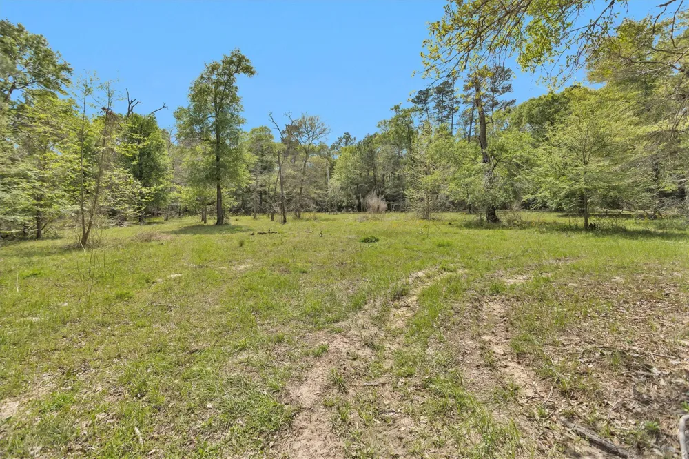 17174 Tierra Buena Drive Plantersville, TX 77363