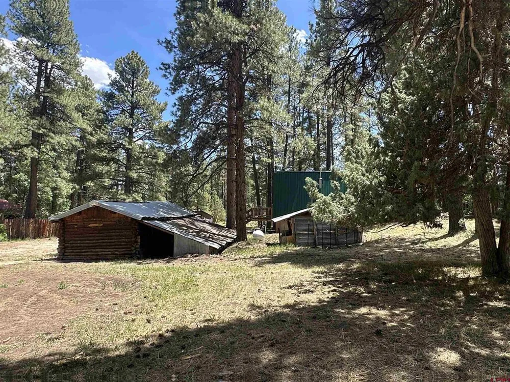 38978 County Road P Mancos, CO 81328