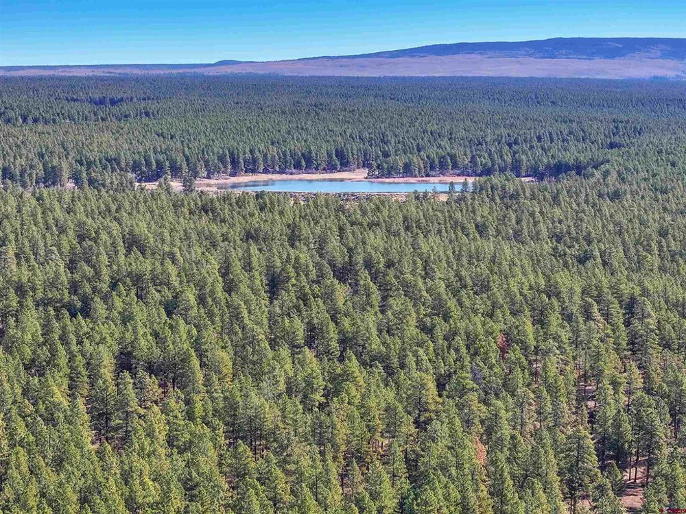 38978 County Road P Mancos, CO 81328