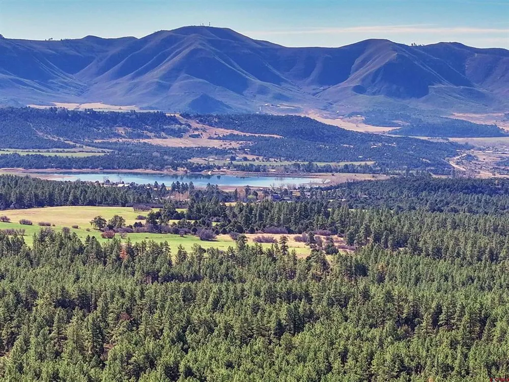 38978 County Road P Mancos, CO 81328