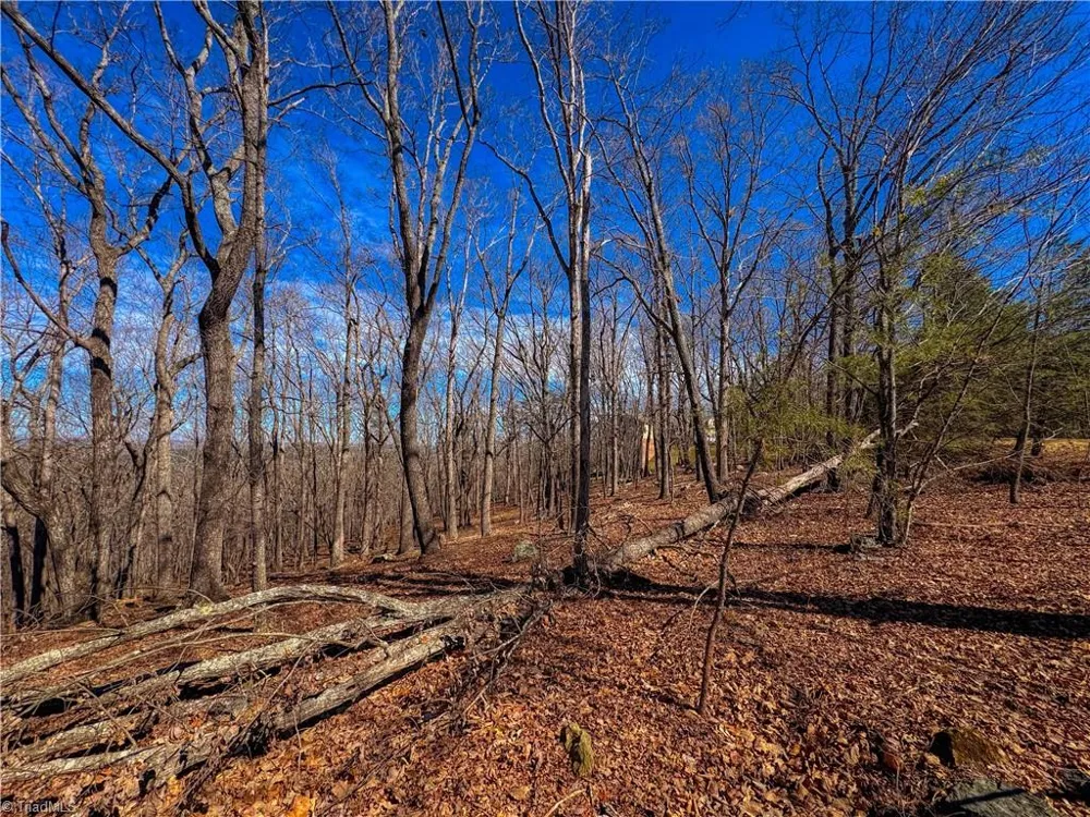 2171 Sierra Trace Road Denton, NC 27239