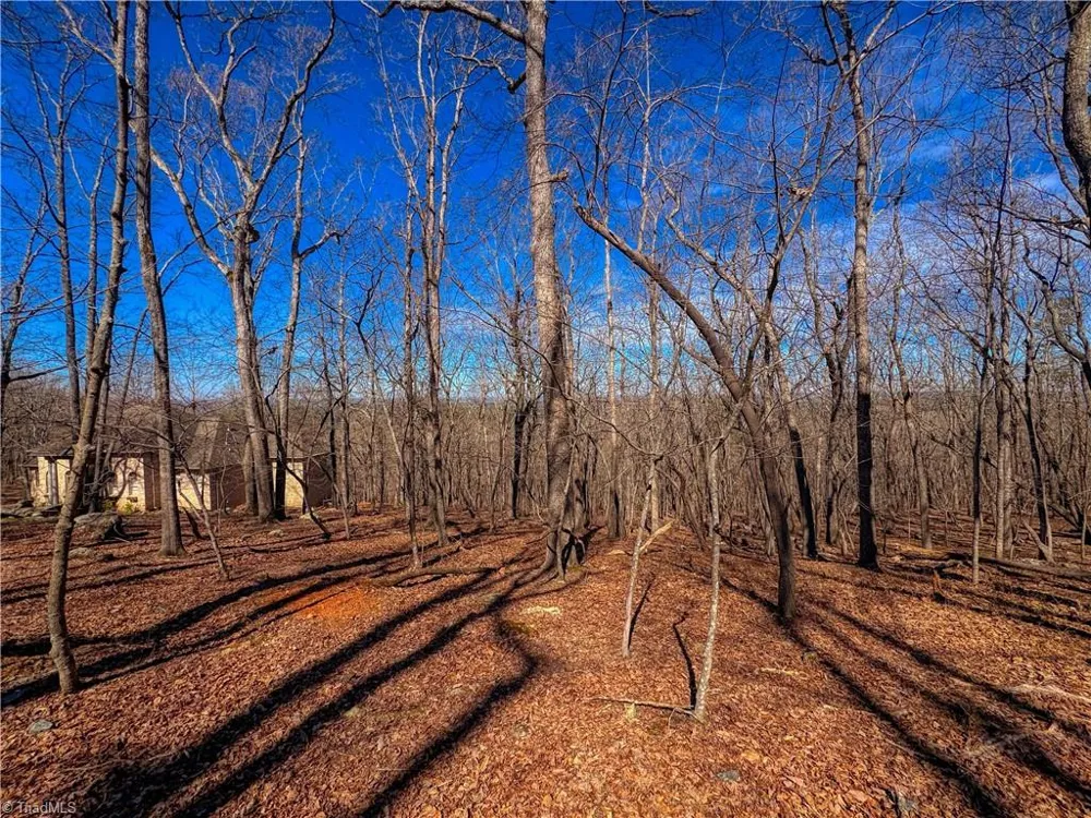 2171 Sierra Trace Road Denton, NC 27239