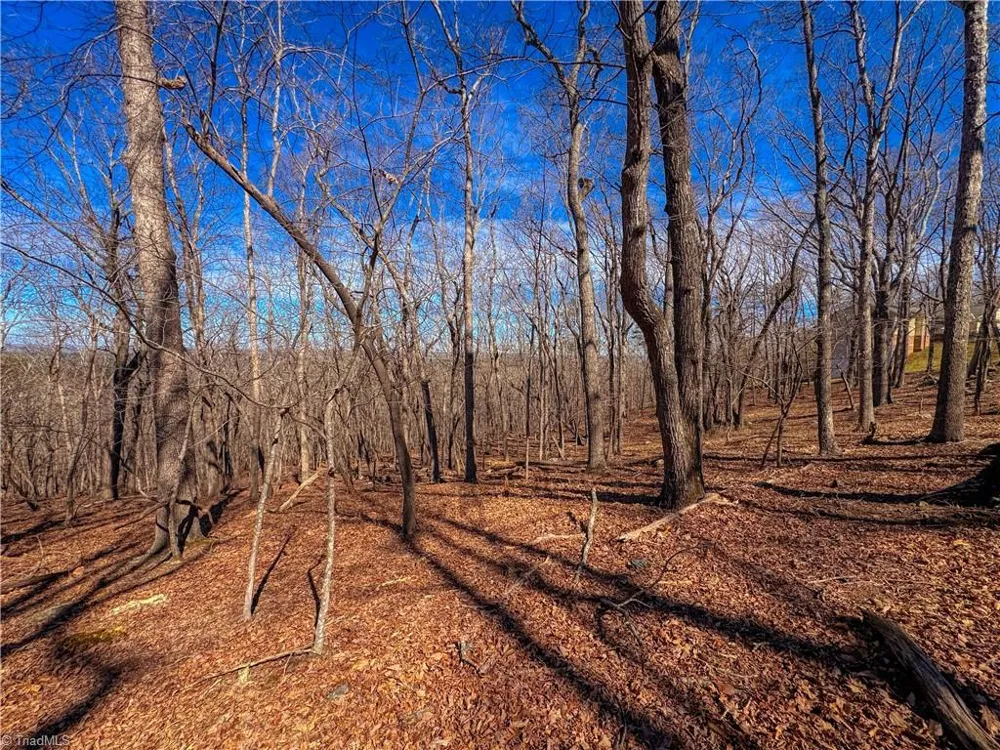 2171 Sierra Trace Road Denton, NC 27239