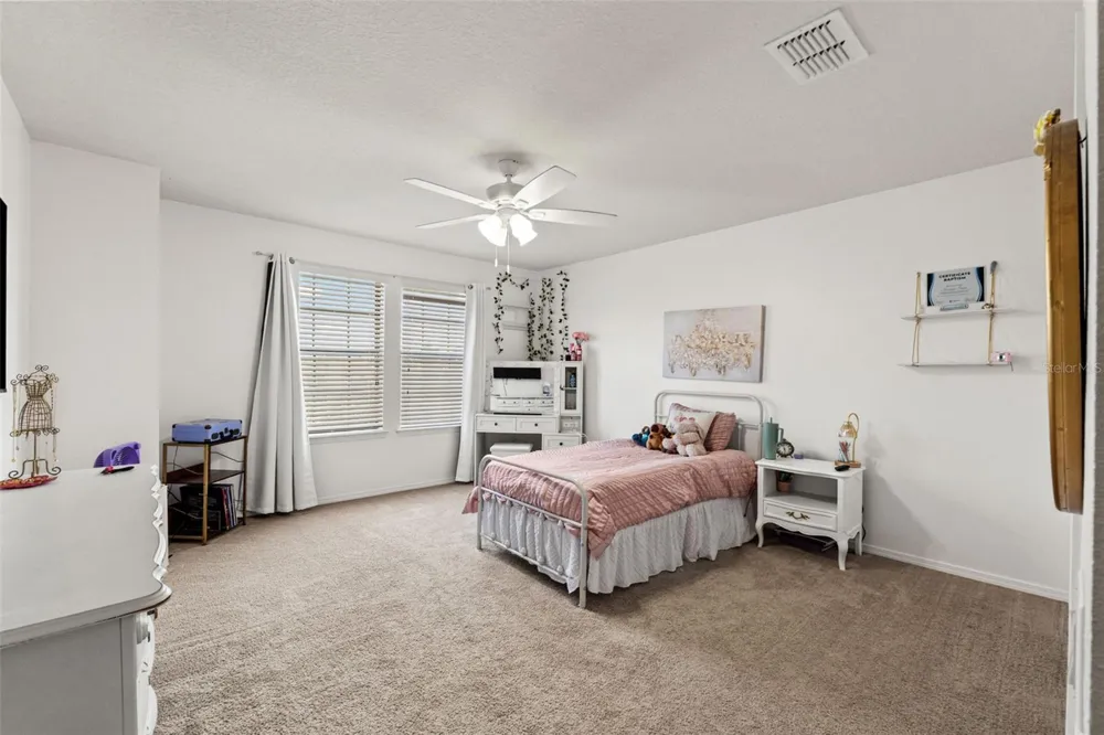 647 ALPINE THISTLE DRIVE Brooksville, FL 34604