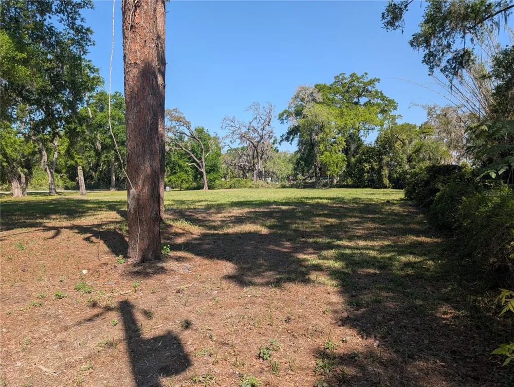 8519 ADONIS RD New Port Richey, FL 34654