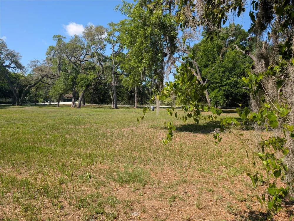 8519 ADONIS RD New Port Richey, FL 34654