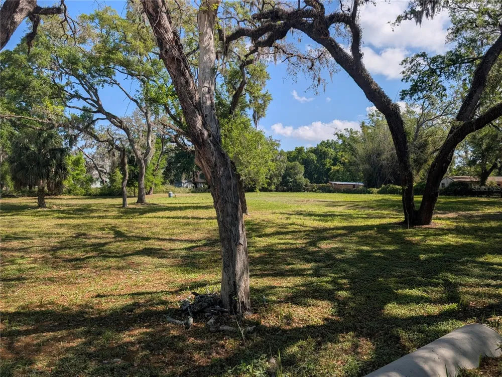 8519 ADONIS RD New Port Richey, FL 34654