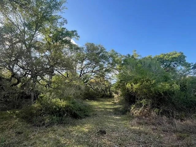 1600 County Road 121 Garwood, TX 77460