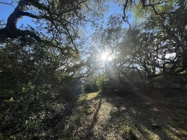 1600 County Road 121 Garwood, TX 77460