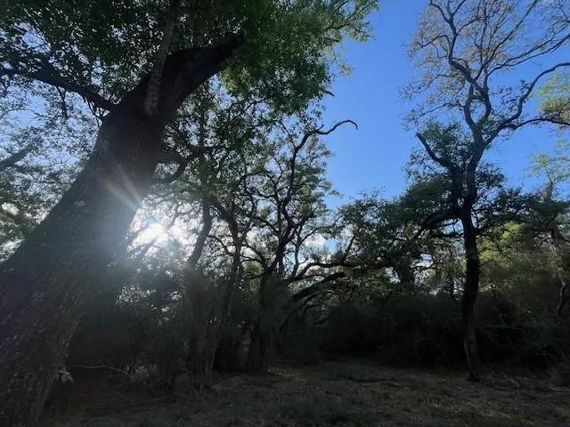 1600 County Road 121 Garwood, TX 77460