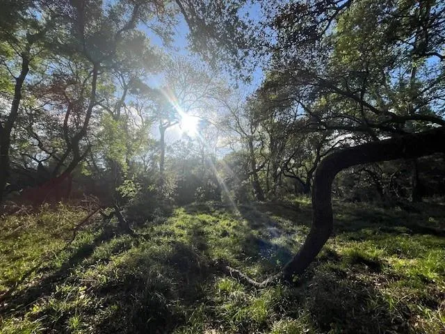 1600 County Road 121 Garwood, TX 77460