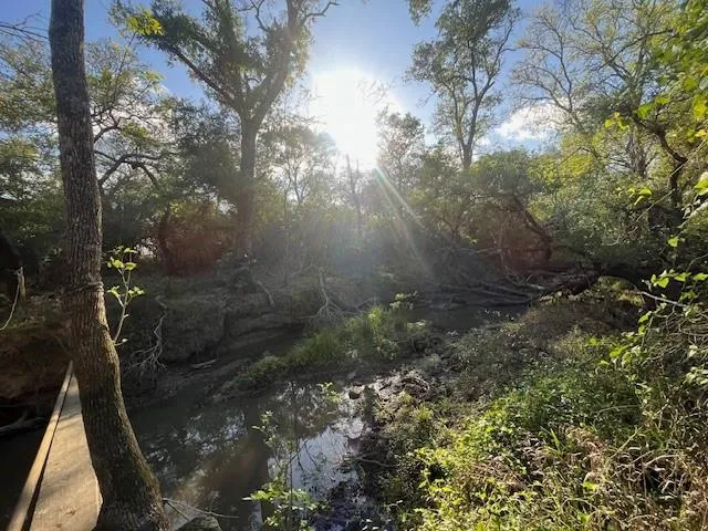 1600 County Road 121 Garwood, TX 77460