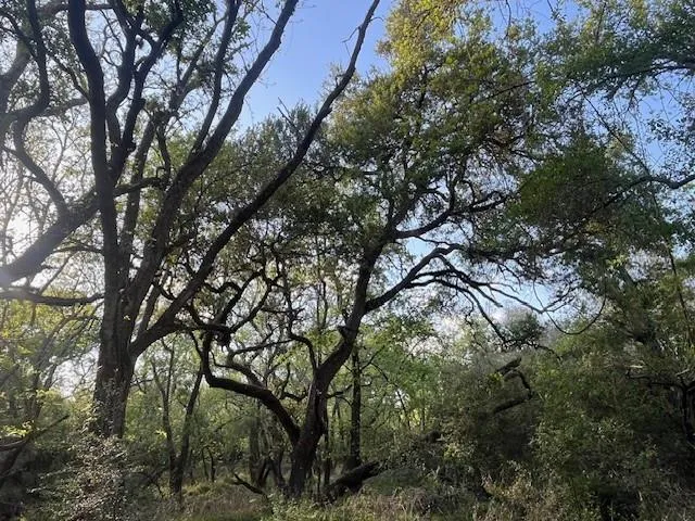 1600 County Road 121 Garwood, TX 77460