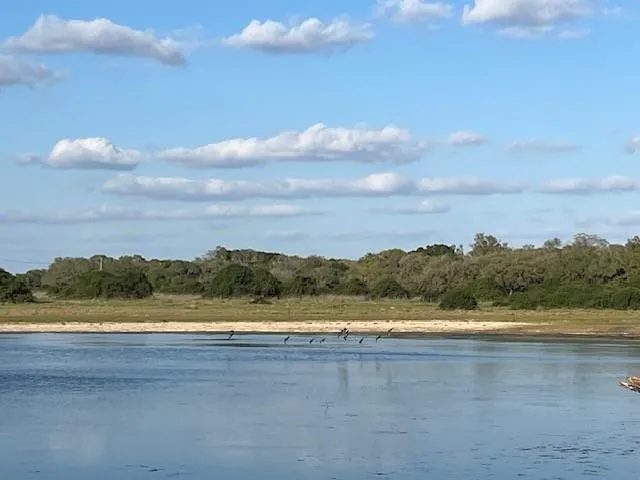 1600 County Road 121 Garwood, TX 77460