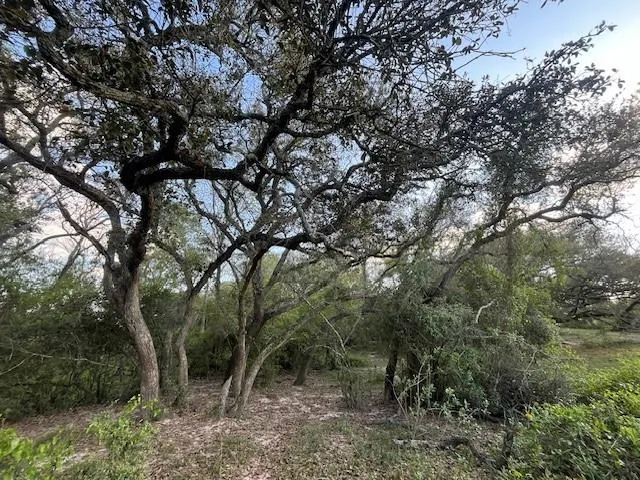1600 County Road 121 Garwood, TX 77460